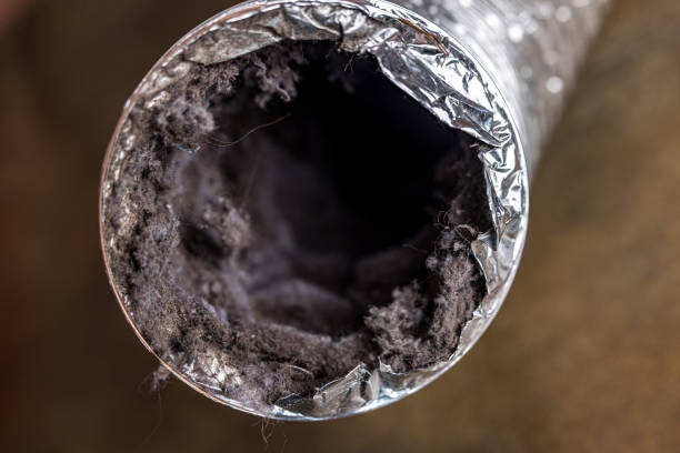 Best Ductwork Cleaning Services  in Heeia, HI