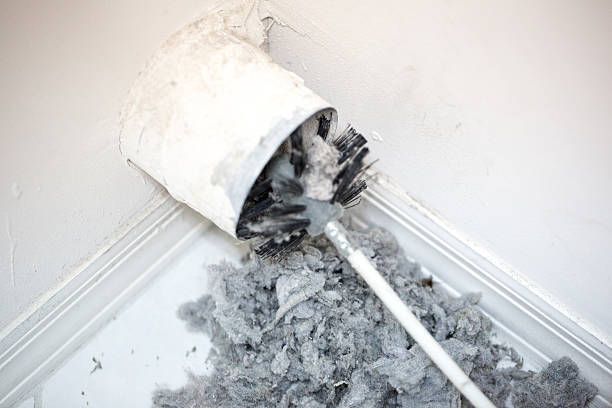 Best HVAC System Cleaning  in Heeia, HI